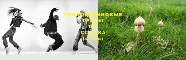 гидропоника Алексин