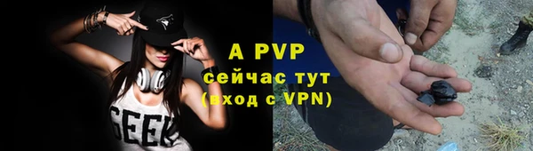 дурь Няндома