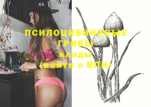амф Абинск